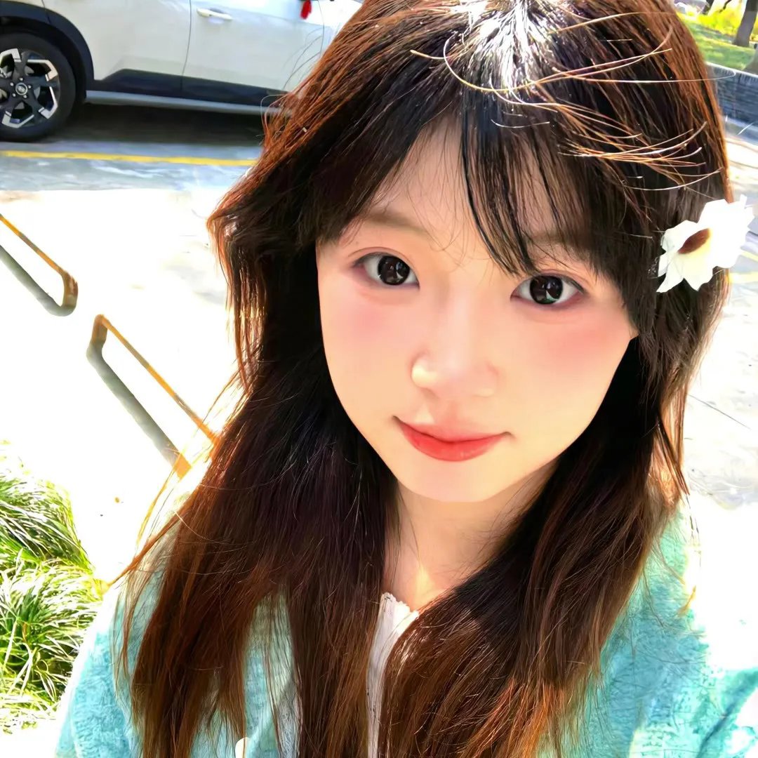 爱丽丝岛